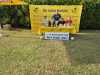 IMG-20260707-WA0003