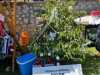 IMG-20240513-WA0001