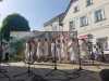 IMG-20240512-WA0105