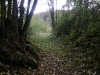 pa240231-1280-x-960.jpg