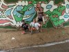 IMG-20260825-WA0006