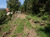 p9228160-1280-x-960.jpg