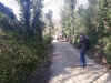 IMG-929078cb61971581102d8b5a950294a9-V