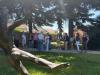 IMG-20260514-WA0013