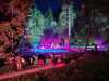 IMG-20250504-WA0014