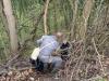 IMG-20260321-WA0022