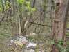 IMG-20260323-WA0008