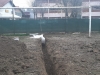 IMG-20210127-WA0012
