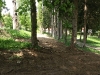 p4276583-1280-x-960.jpg
