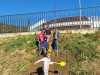 IMG-20241115-WA0018