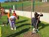 IMG-20241115-WA0026