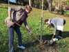 IMG-20241115-WA0030