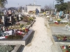 sp_a0180.jpg