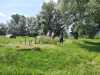 IMG-20230711-WA0007
