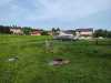 IMG-20230711-WA0029