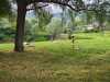 IMG-20230711-WA0031