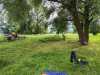 IMG-20230711-WA0035