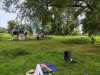 IMG-20230711-WA0036