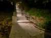 IMG-20241106-WA0021