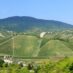 Izlet vinara na Plešivicu – prijavite se