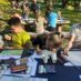 Piknik Gradske knjižnice u Zelenjaku