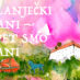 POČINJU DANI GRADA KLANJCA