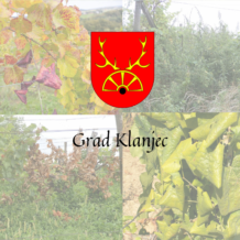 POZIV VLASNICIMA VINOGRADA