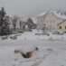 Stigla prava zima…